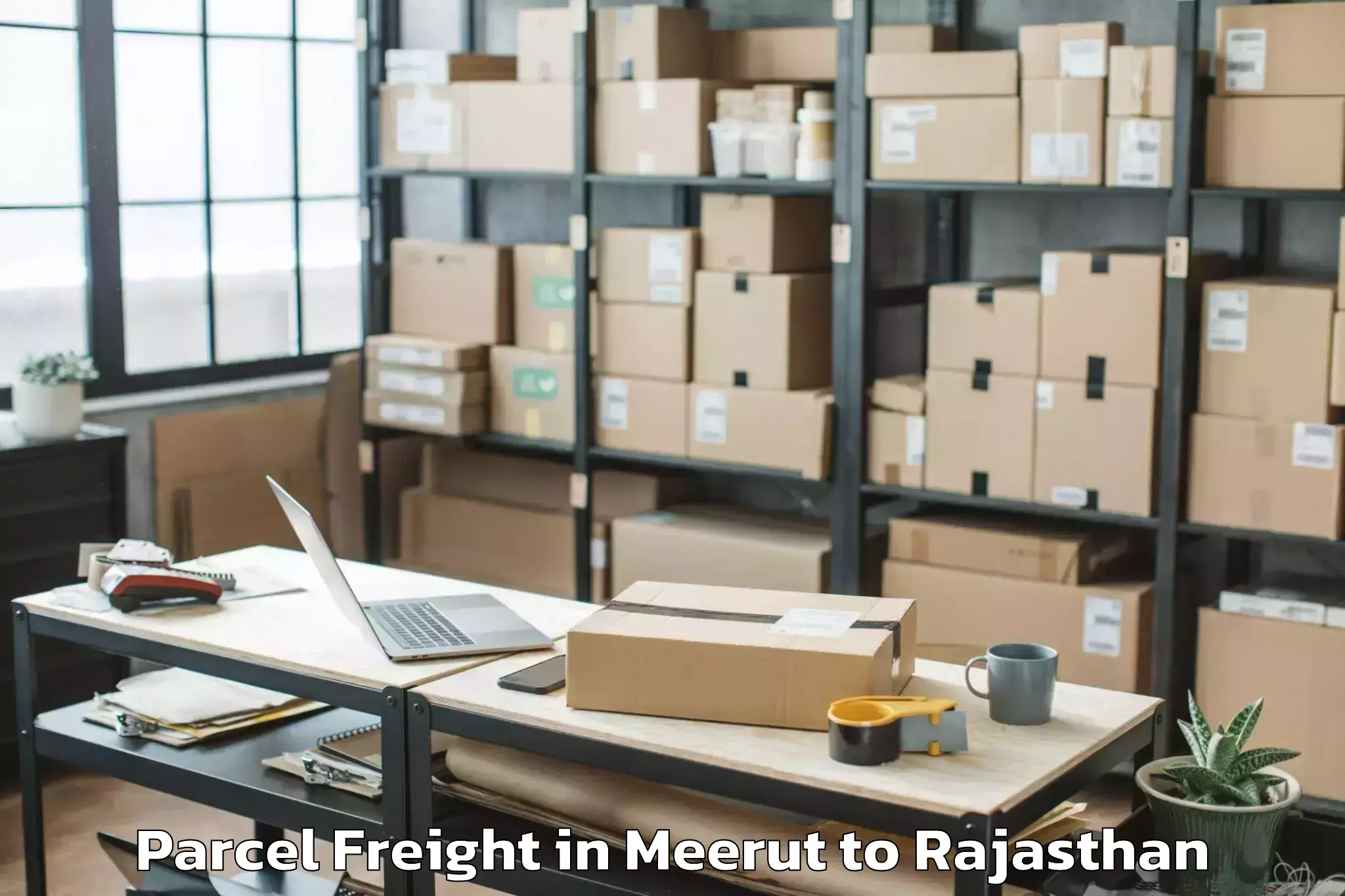 Comprehensive Meerut to Ratangarh Churu Parcel Freight